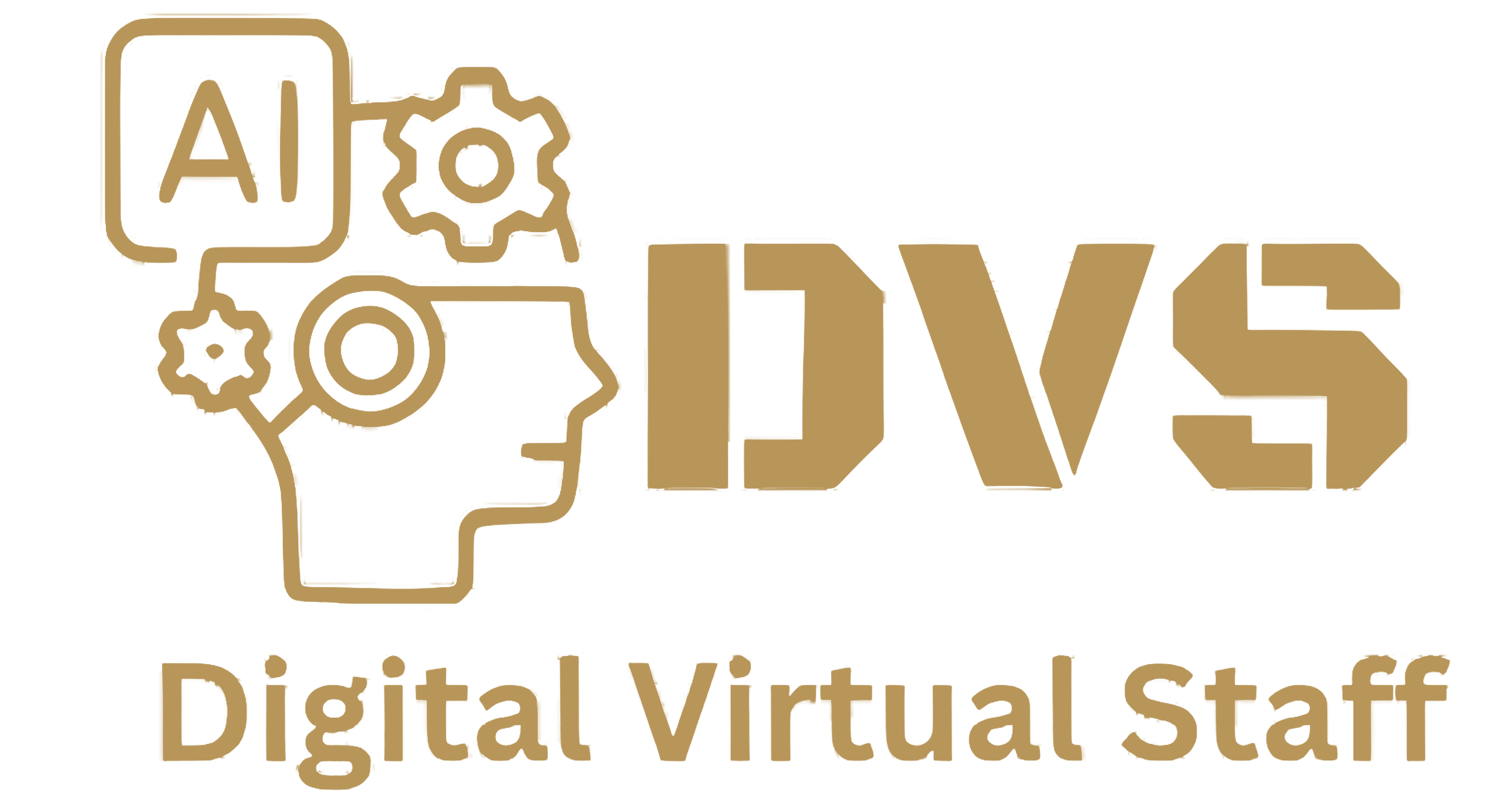 DVSSPL — Digital Virtual Staff
